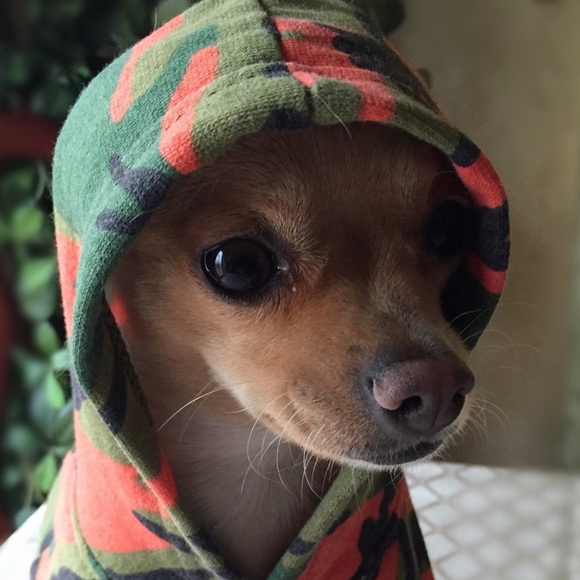 Other - Green and Orange Camo Dog Small Hoodie